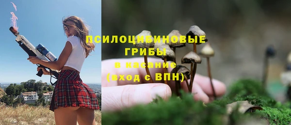 марки lsd Заводоуковск