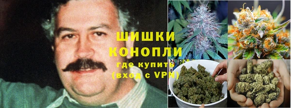 марки lsd Заводоуковск