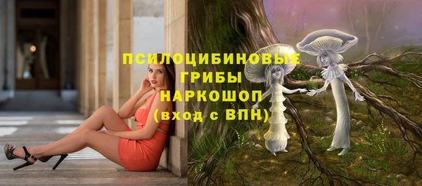 марки lsd Заводоуковск