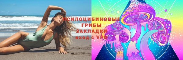 марки lsd Заводоуковск