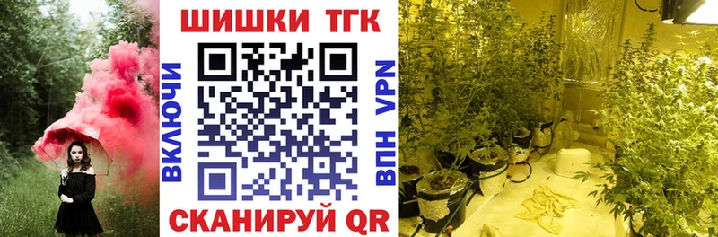 Шишки марихуана план  Купить где  Нерехта 